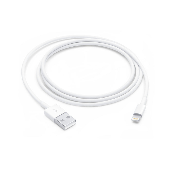 Apple USB-A to Lightning Cable