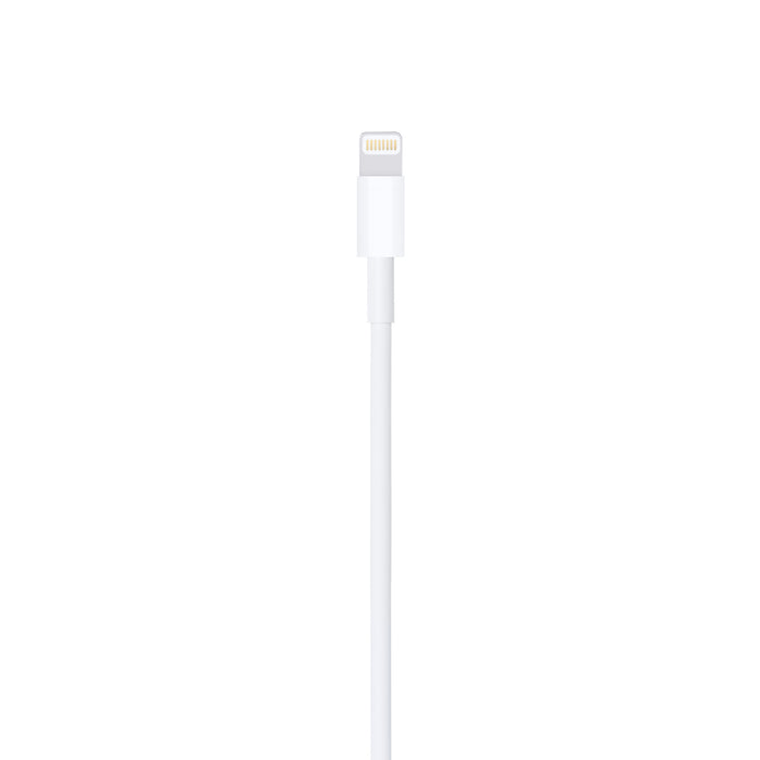 Apple USB-A to Lightning Cable