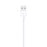 Apple USB-A to Lightning Cable