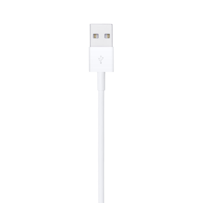 Apple USB-A to Lightning Cable